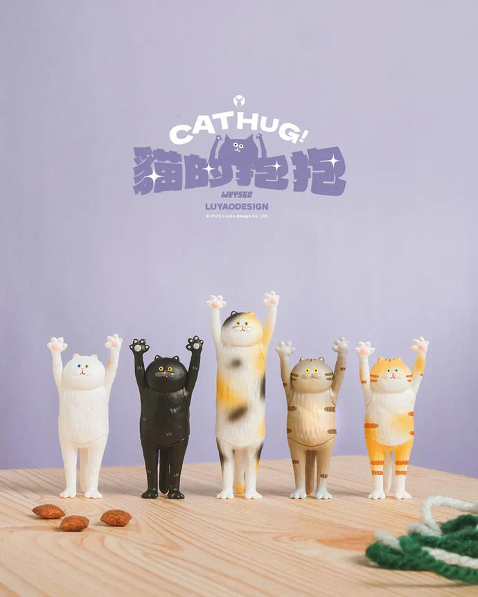 The Hugging Cat Series Blind Box (1 Random Box) - Nix Guide To