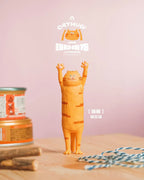 The Hugging Cat Series Blind Box (1 Random Box) - Nix Guide To