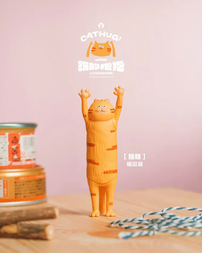 The Hugging Cat Series Blind Box (1 Random Box) - Nix Guide To