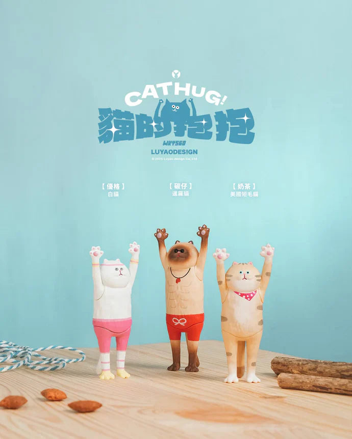 The Hugging Cat Series Blind Box (1 Random Box) - Nix Guide To
