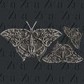 Zuri Designs Steampunk Butterfly - Nix Guide To