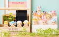 Sonny Angel Original Hippers Blind Box - Nix Guide To
